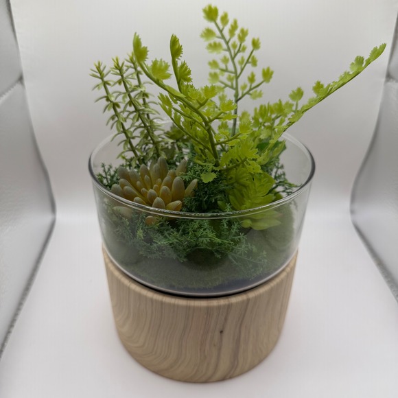 Target Other - 2pk Threshold‎ Round Wood Faux Plant 6" Diameter Natural Wood base